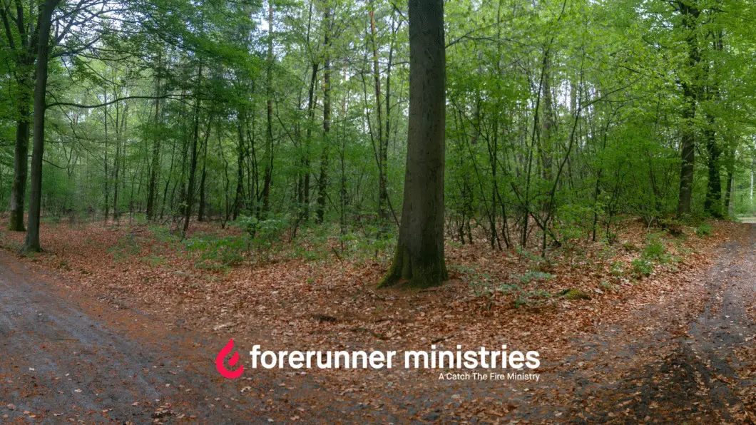 How Do I Step Into My Calling