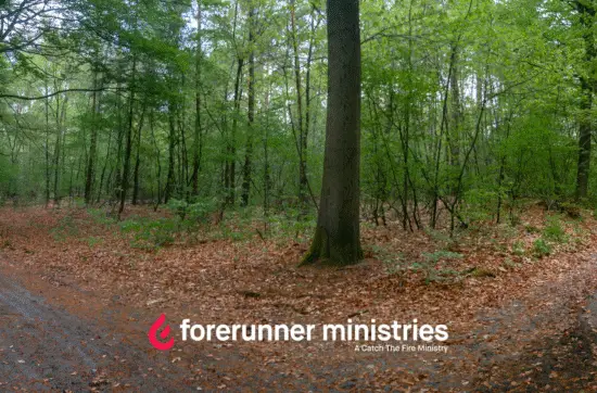 How Do I Step Into My Calling