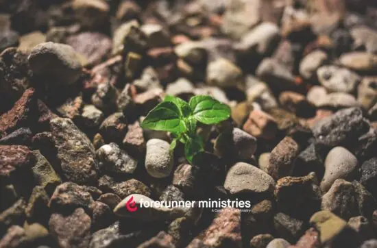 What If I’m Not Growing Spiritually