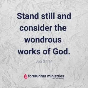 Stand still and consider
