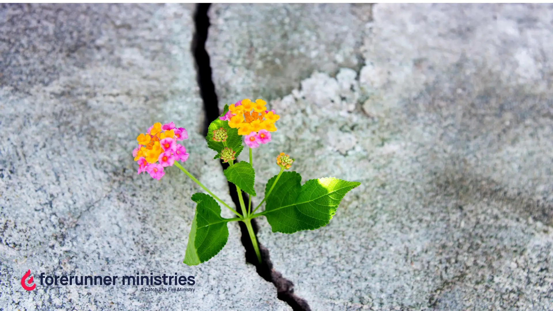 What to Expect When Heaven Finally Opens Above You