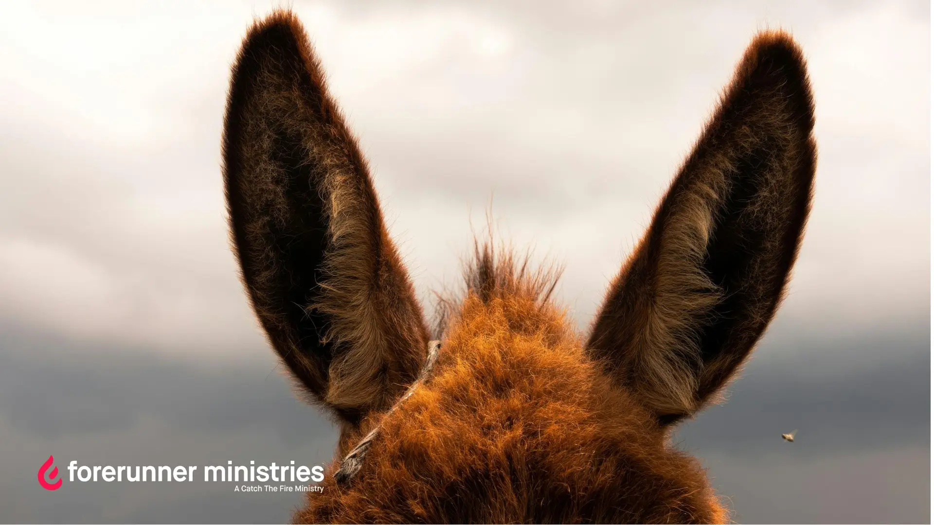 How to Hear God's Voice When You're Not Sure It's Him