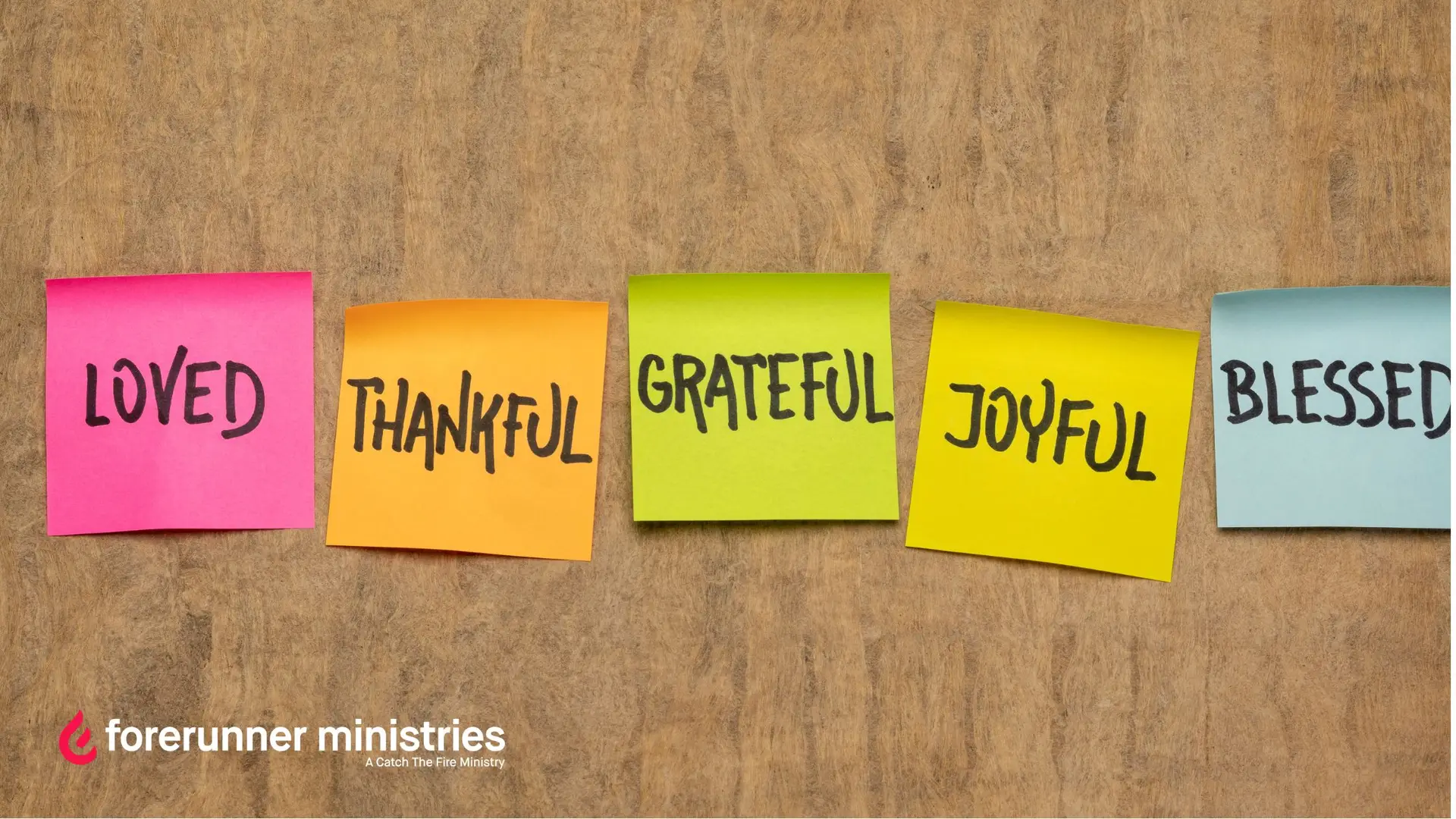Why a Daily Gratitude Practice Changes What You Notice