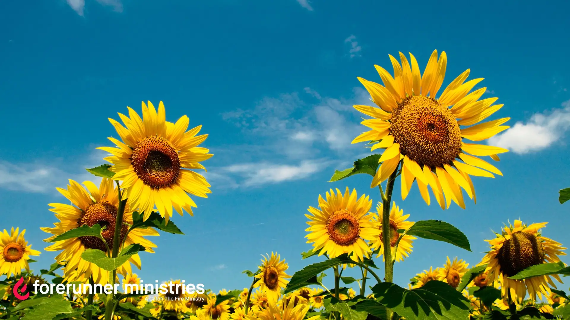 Hearing God in the Ordinary Days of Summer